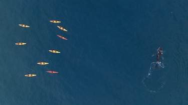 Seabourn Venture - Kayaks 2.jpg